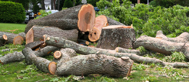  Carthage, TN Tree Care Pros